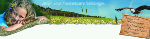 Wildpark_Willingen